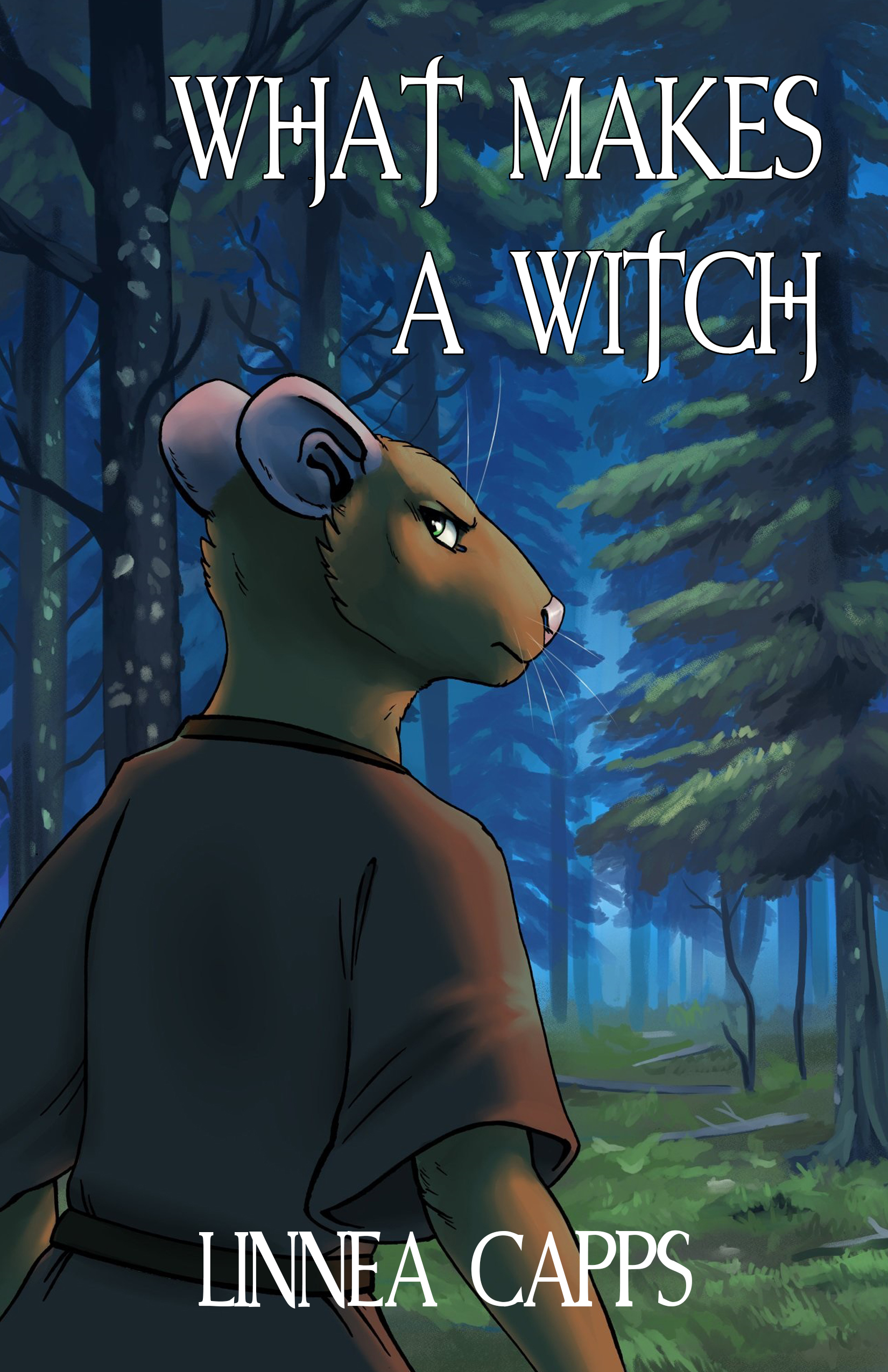 What makes a witch by Linnea Capps